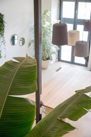 Apartment Industrial Loft In Front Of Santa Apolonia Lisbon