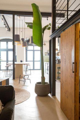 Industrial Loft In Front Of Santa Apolonia Apartment Lisbon